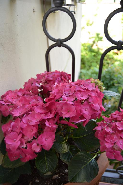 Chez Moi B&B Floransa Dış mekan fotoğraf